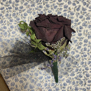 Meet your Posher, Lilly